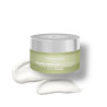 Fluide purifiant matifiant