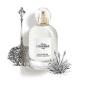 Rêve Parfumé au Parc Monceau