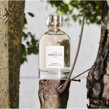 Eau de Parfum Flânerie Place Dauphine - Condensé