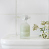 Concentré purifiant rééquilibrant