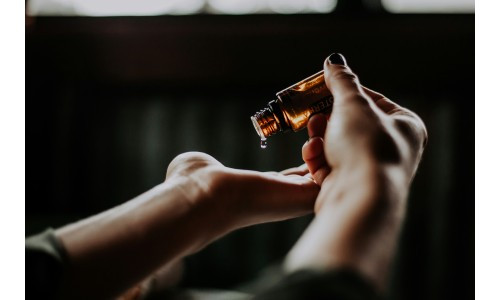 Tout savoir sur l'huile de Jojoba : propriétés, bienfaits et utilisations