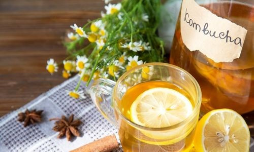 Le Kombucha : ses bienfaits et propriétés