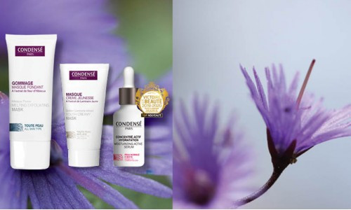 Programme Beauté de la Rentrée ! Tome 1